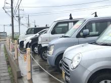 車選びドットコム保証EGSプラス取扱い店<br />無料電話:0078-6015-12774<br />住 所:千葉県君津市上湯江1723-1<br />営業時間: 09:00～17:00<br />定休日: 日曜日・祝日・年始