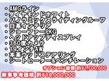 オプション多数で大変お買い得です!!リセールも期待できます!!